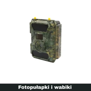 Fotopułapki i wabiki